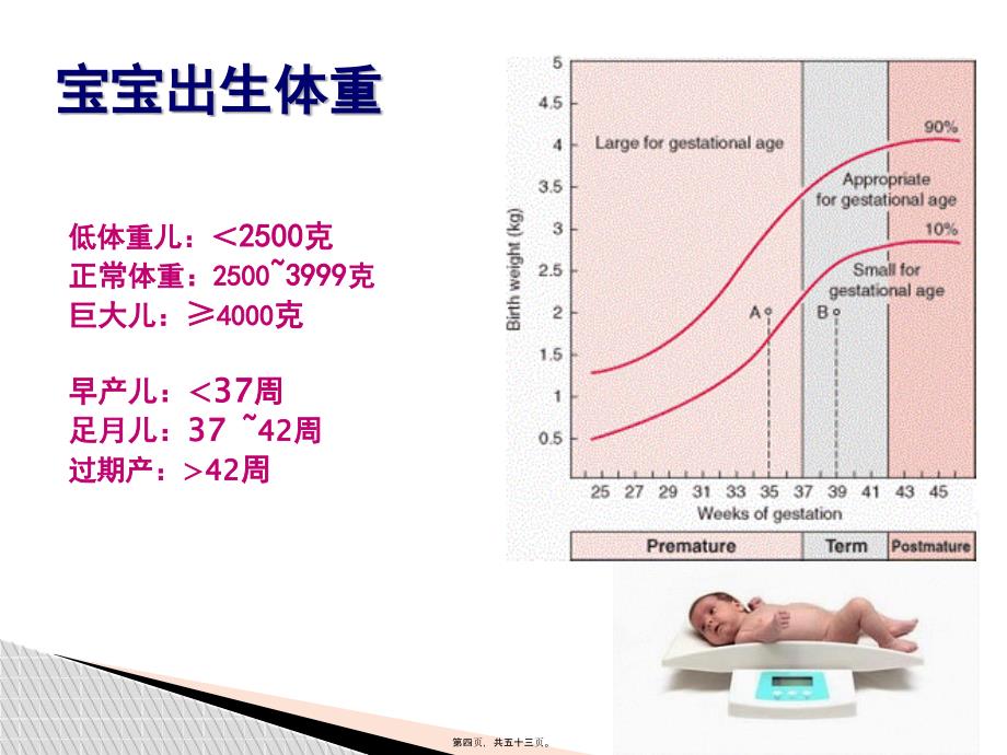 孕期营养与膳食13144_第4页