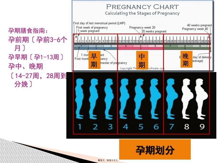 孕期营养与膳食13144_第5页