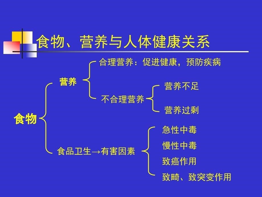 营养与食品卫生学绪论_第5页