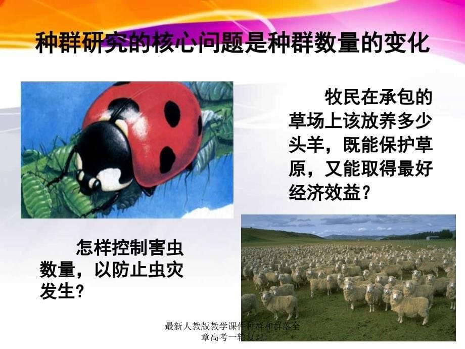 人教版教学课件种群和群落全章高考一轮复习_第5页