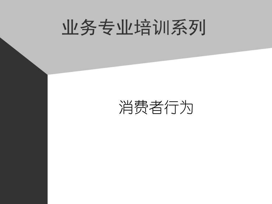 业务专业培训系列[消费者行为]_第1页