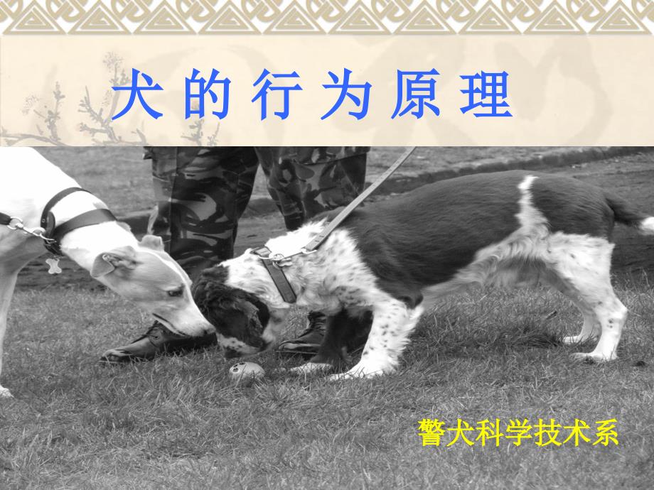 犬的行为原理0绪论课件_第1页