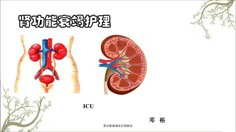 肾功能衰竭及护理副本_第1页