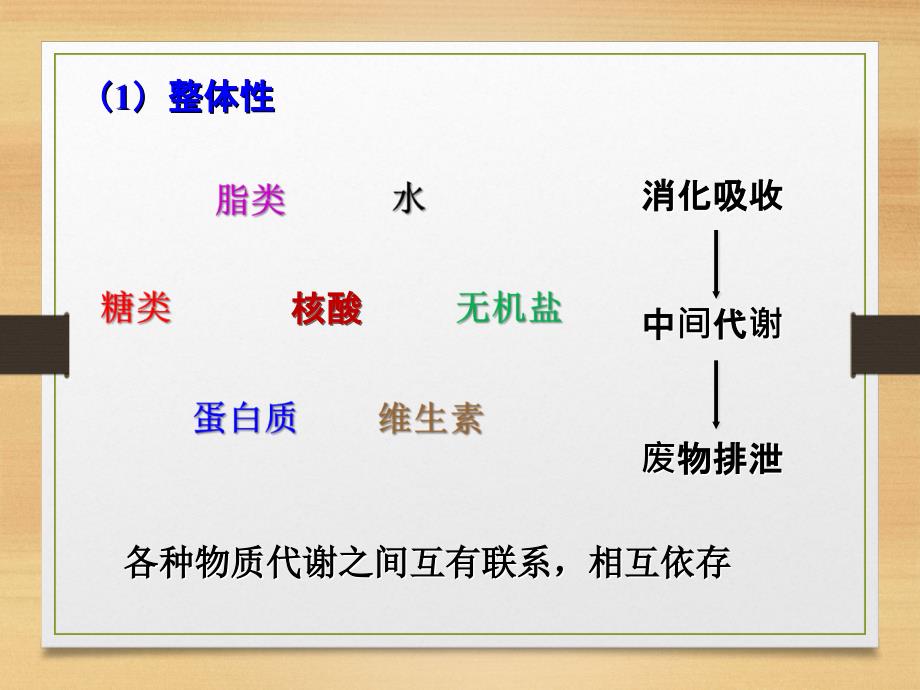 生物化学简明教程第16章物质代谢调控课件_第2页