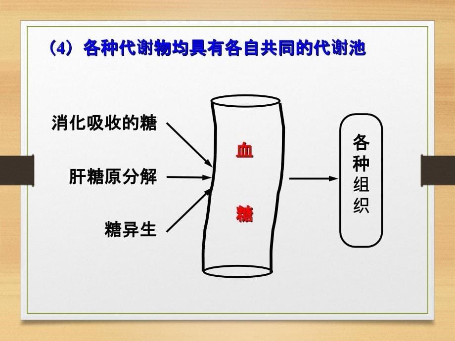 生物化学简明教程第16章物质代谢调控课件_第5页