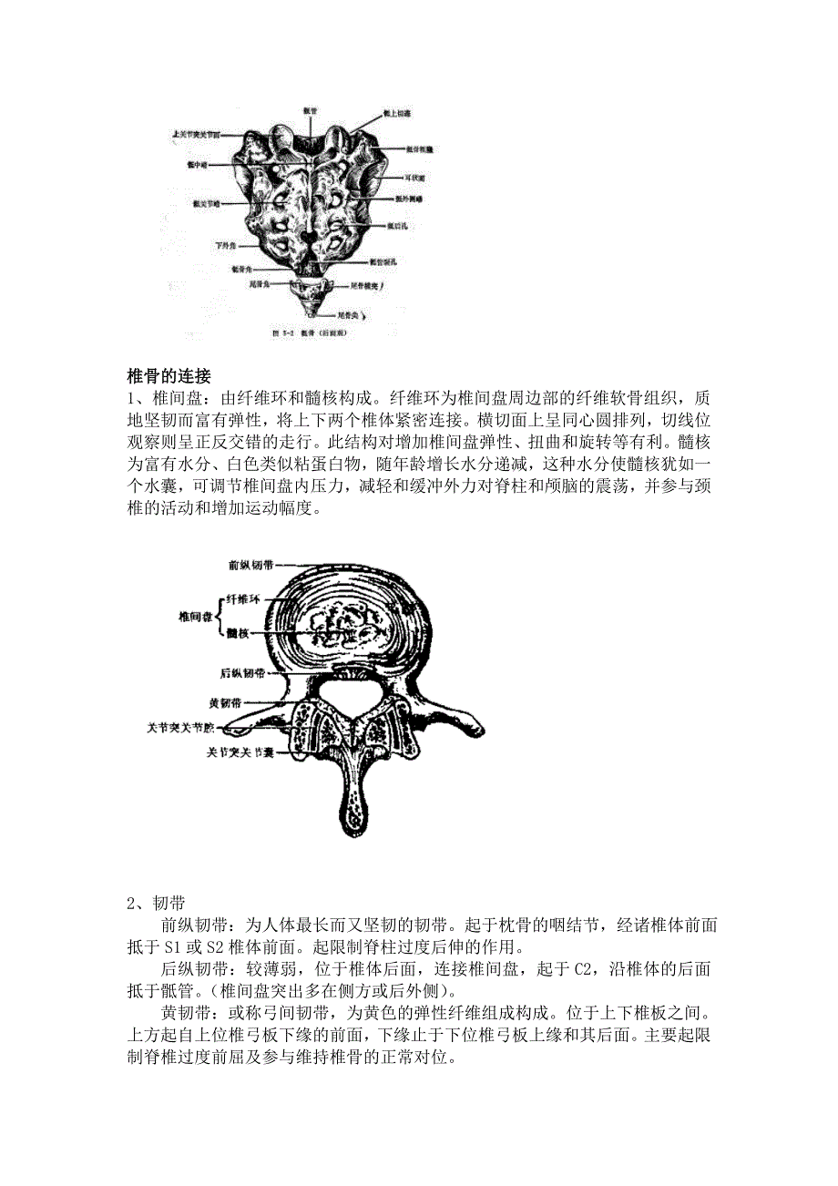 强直性脊柱炎(1).doc_第4页