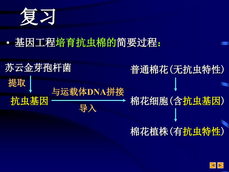 高中生物基因工程ppt课件资料_第4页