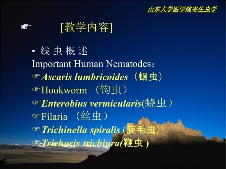 人体寄生虫学蛔虫_第3页