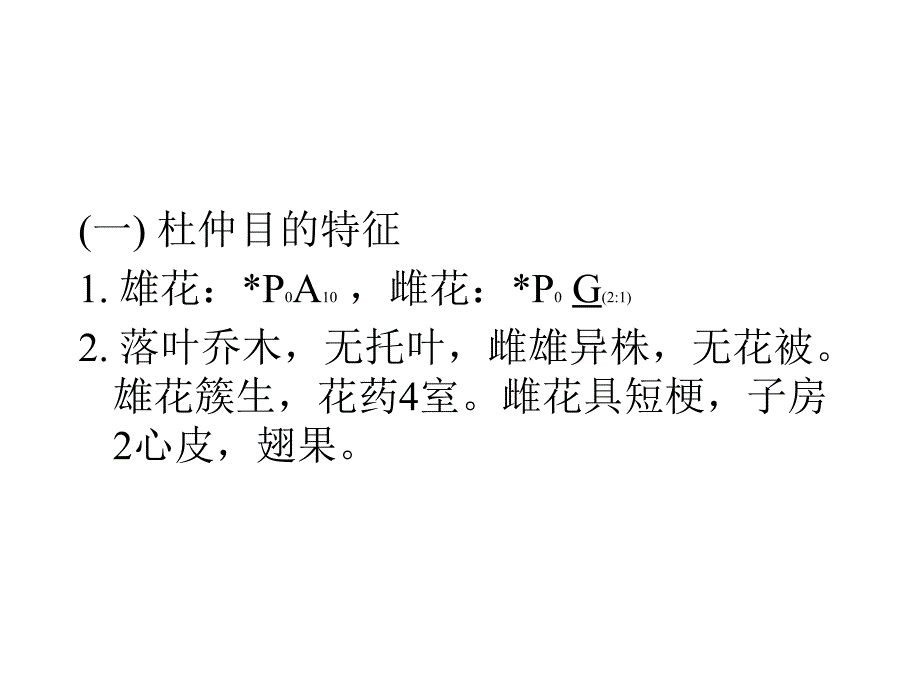 植物学教学课件：杜仲目Eucommiales_第3页