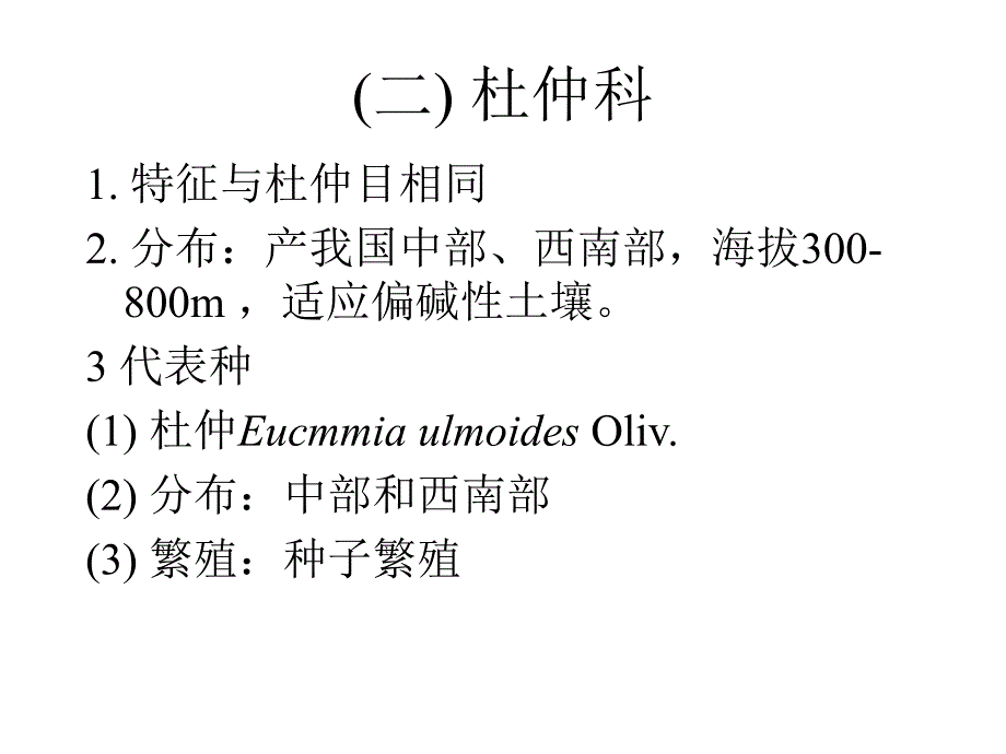 植物学教学课件：杜仲目Eucommiales_第4页