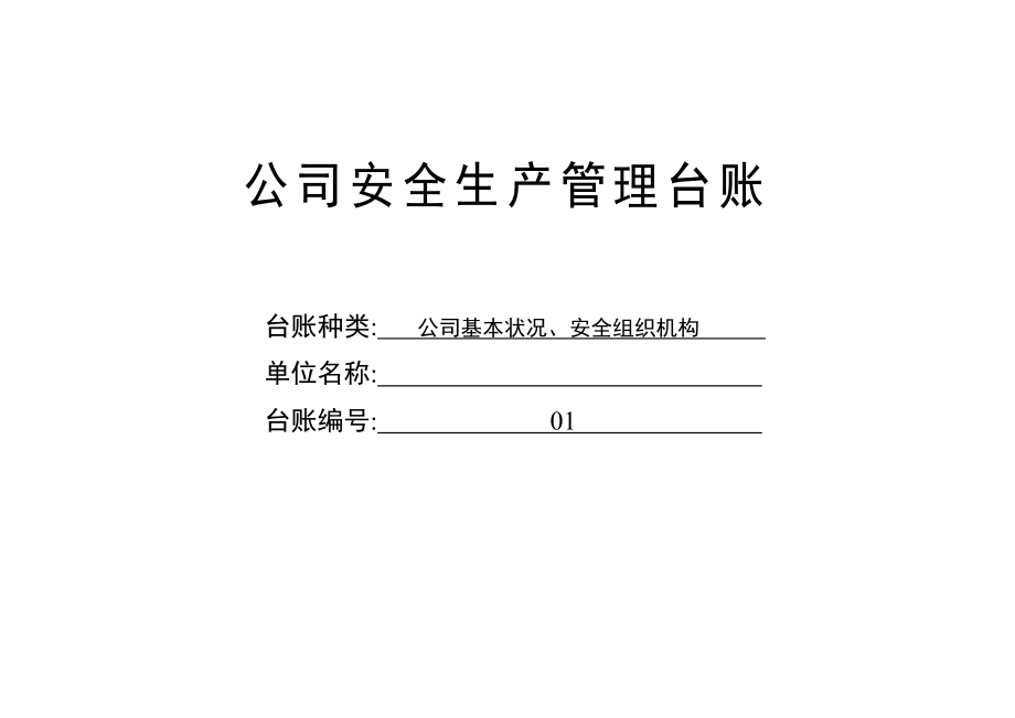 企业安全生产标准化管理台账整理样本_第3页