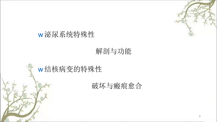 泌尿生殖系统结核课件_第3页