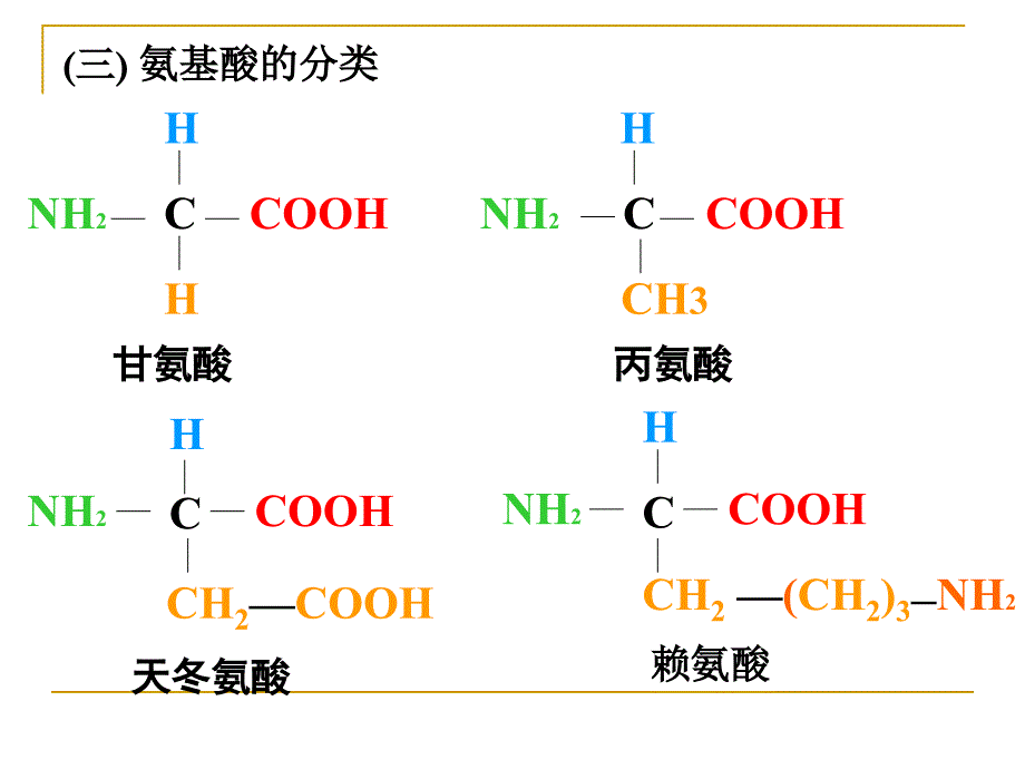 生命的物质基础课件1_第3页