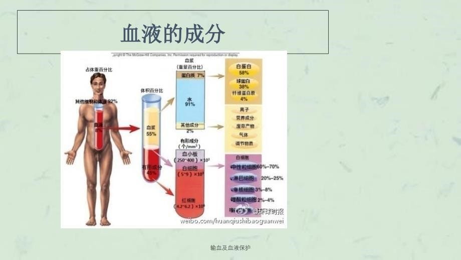 输血及血液保护课件_第5页