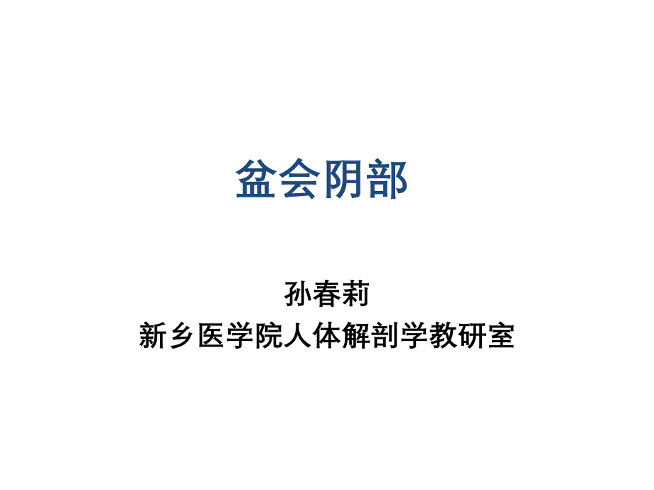 断层解剖学盆部及会阴_第1页