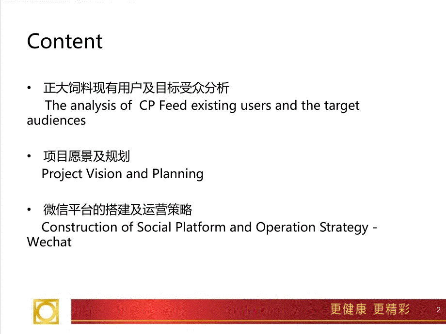 正大饲料报告及规划建议_第2页