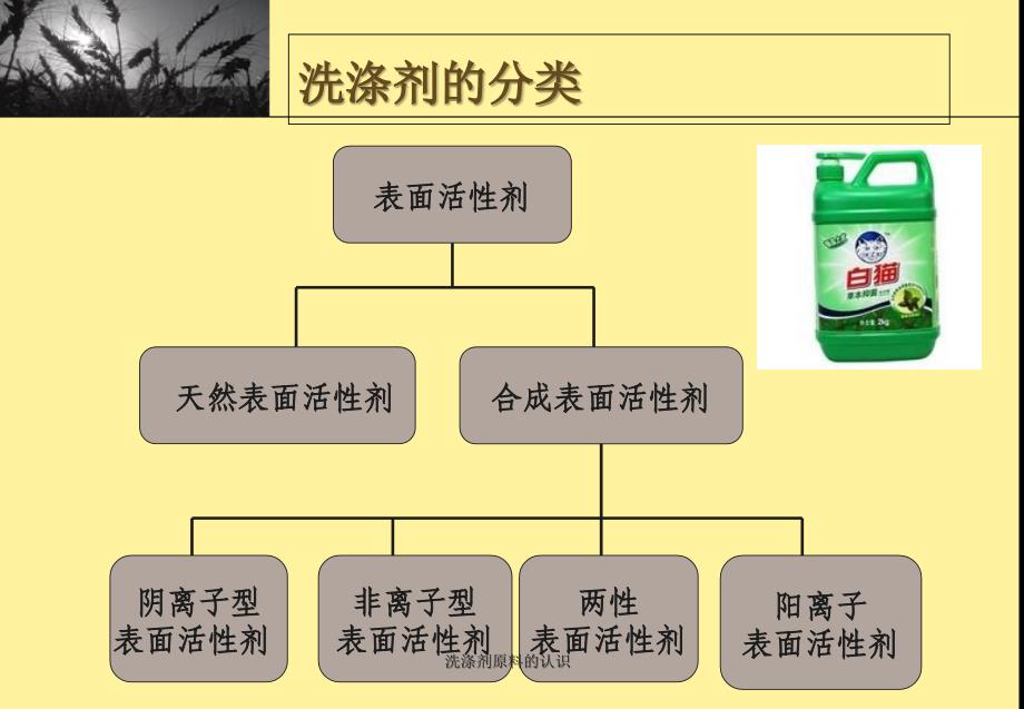 洗涤剂原料的认识_第3页