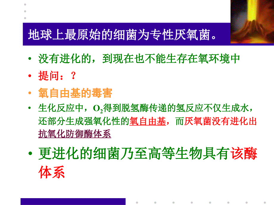 12产能代谢与呼吸-精品文档资料整理_第3页