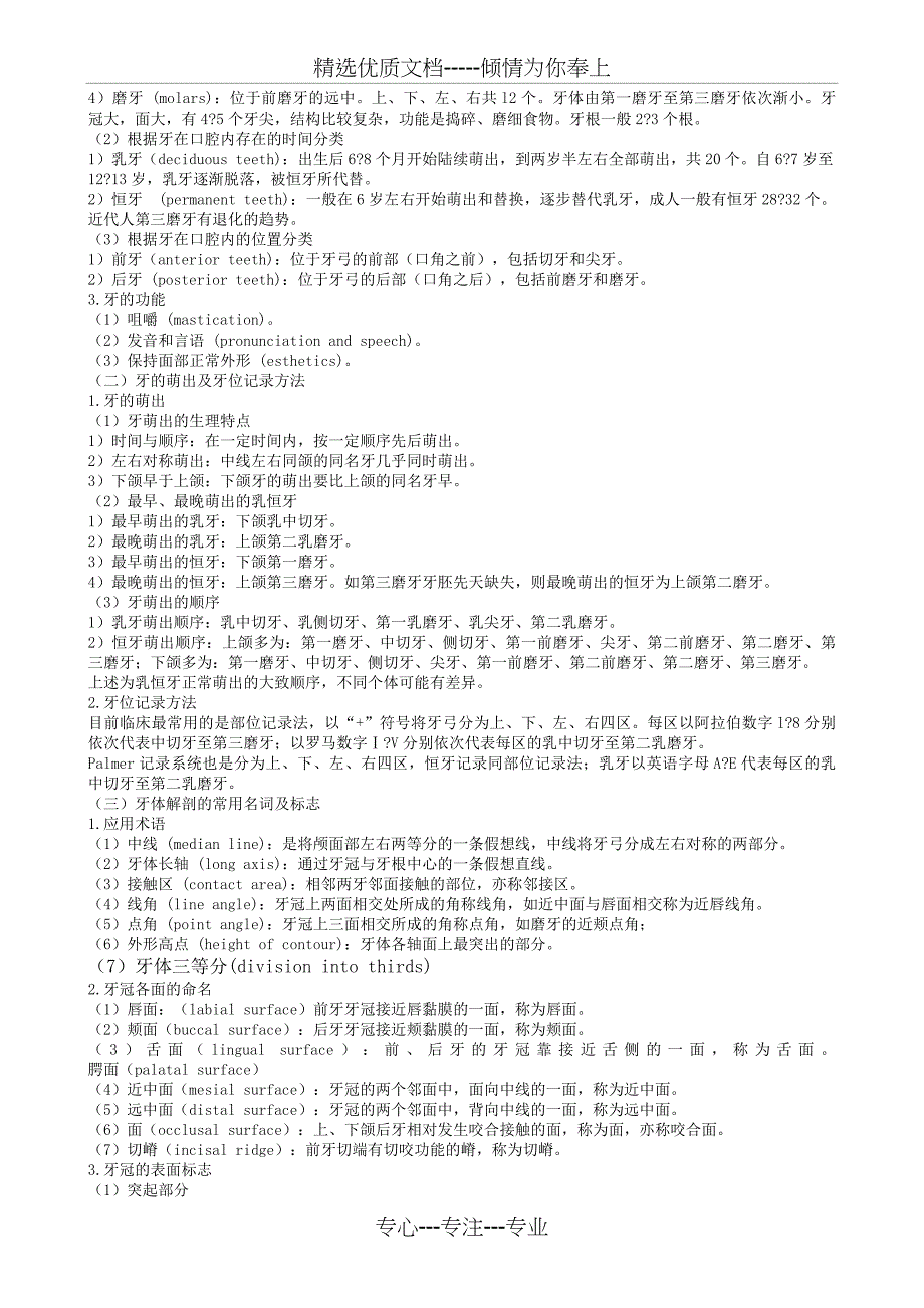 口腔解剖生理学超详细重点_第2页