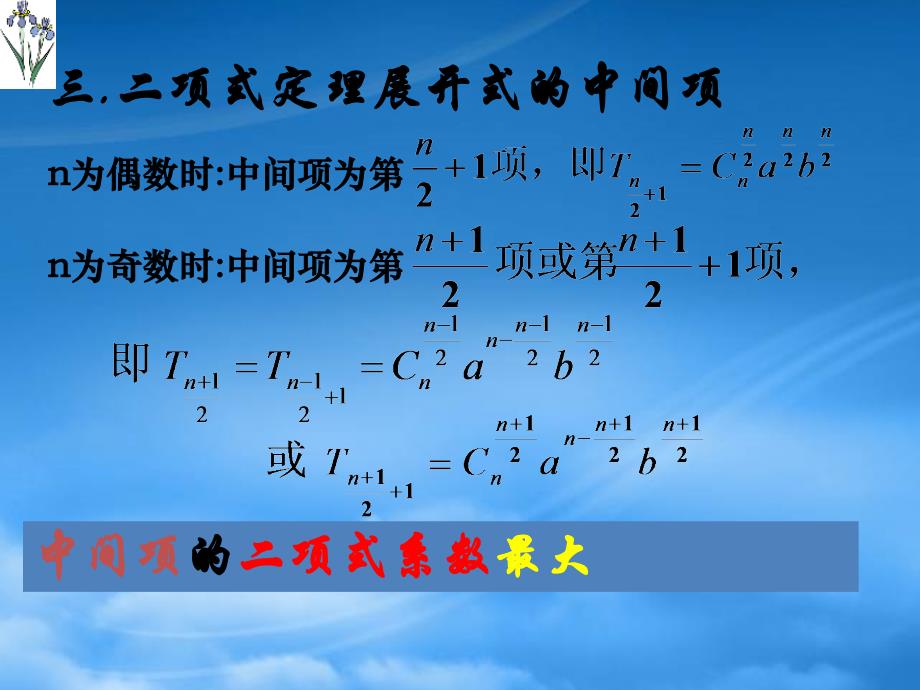 二项式定理及其应用 人教_第3页