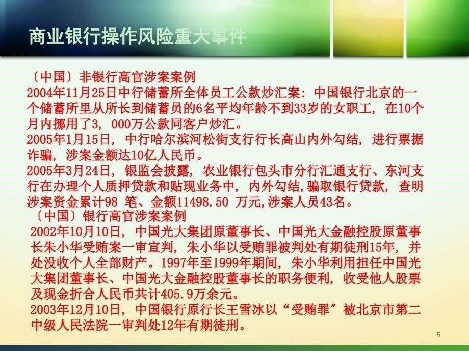 商业银行风险管理案例与实践_第5页