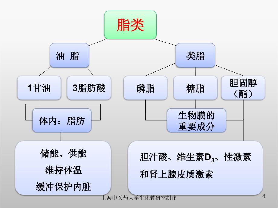 《医用化学》教学课件-脂类化学_第4页