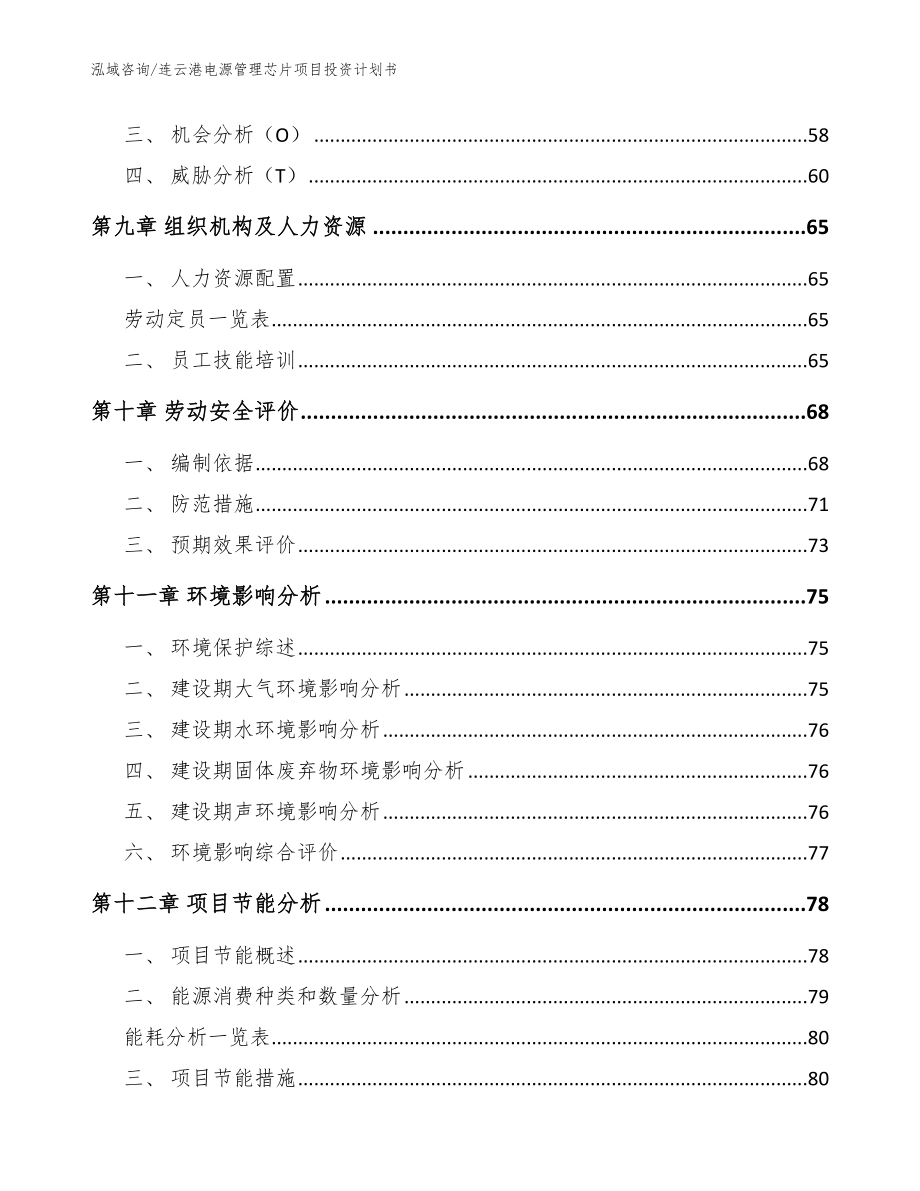 连云港电源管理芯片项目投资计划书（模板）_第3页