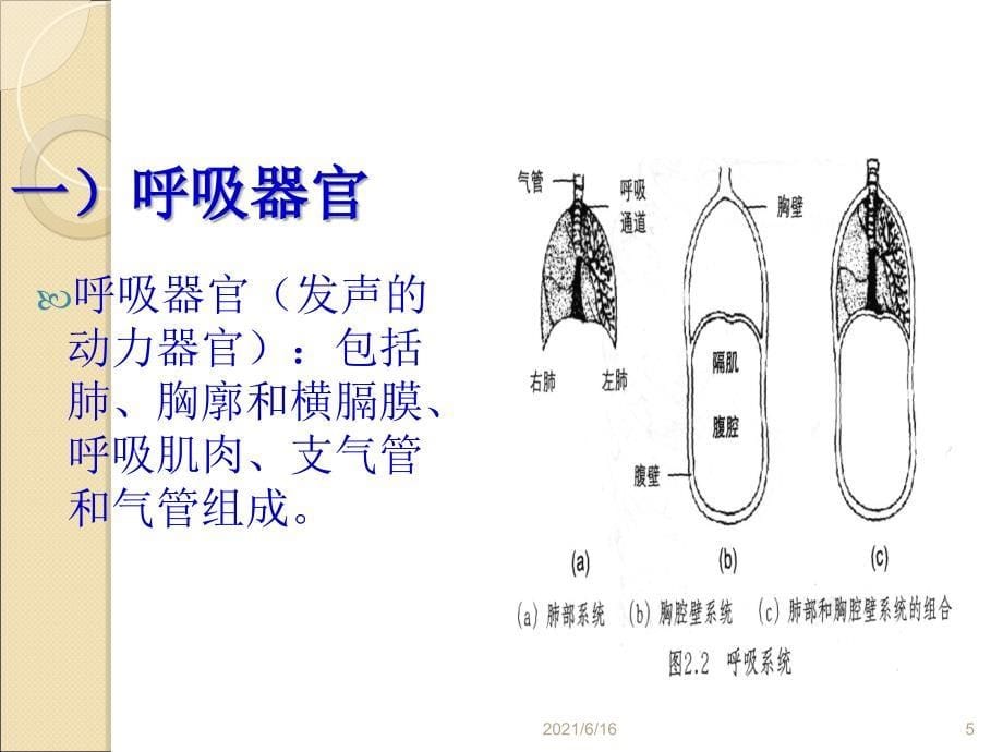 科学发声与嗓音保健_第5页