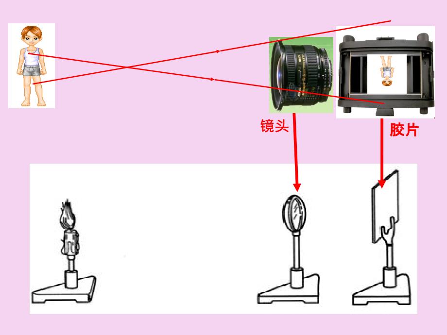 苏科版物理八年级上册4.4照相机与眼睛视力矫正2ppt课件_第2页