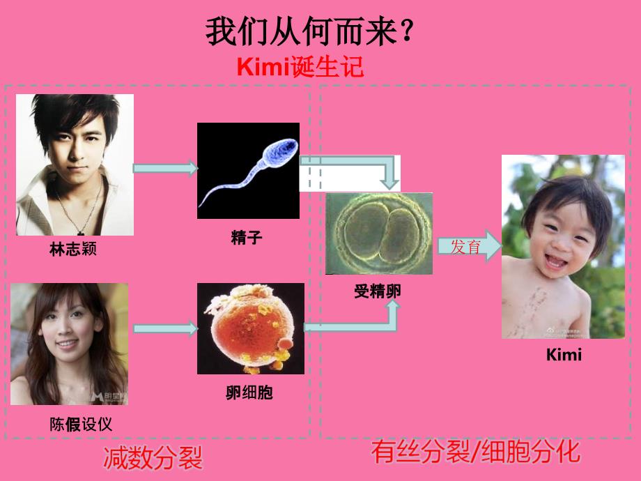 人教版高中生物必修2第2章一减数分裂ppt课件_第1页