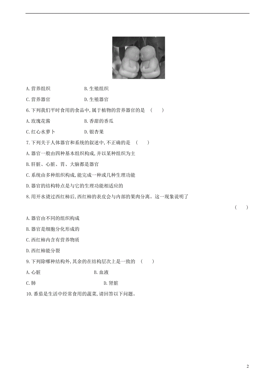 七年级生物上册 2.4.2 多细胞生物体的组成同步课时达标练习 （新版）苏教版_第2页