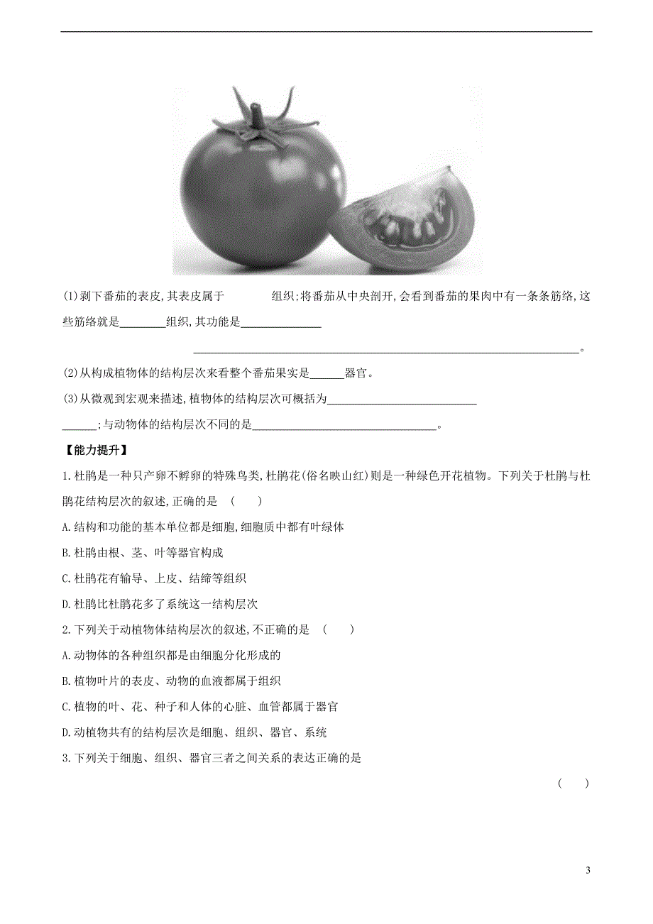 七年级生物上册 2.4.2 多细胞生物体的组成同步课时达标练习 （新版）苏教版_第3页