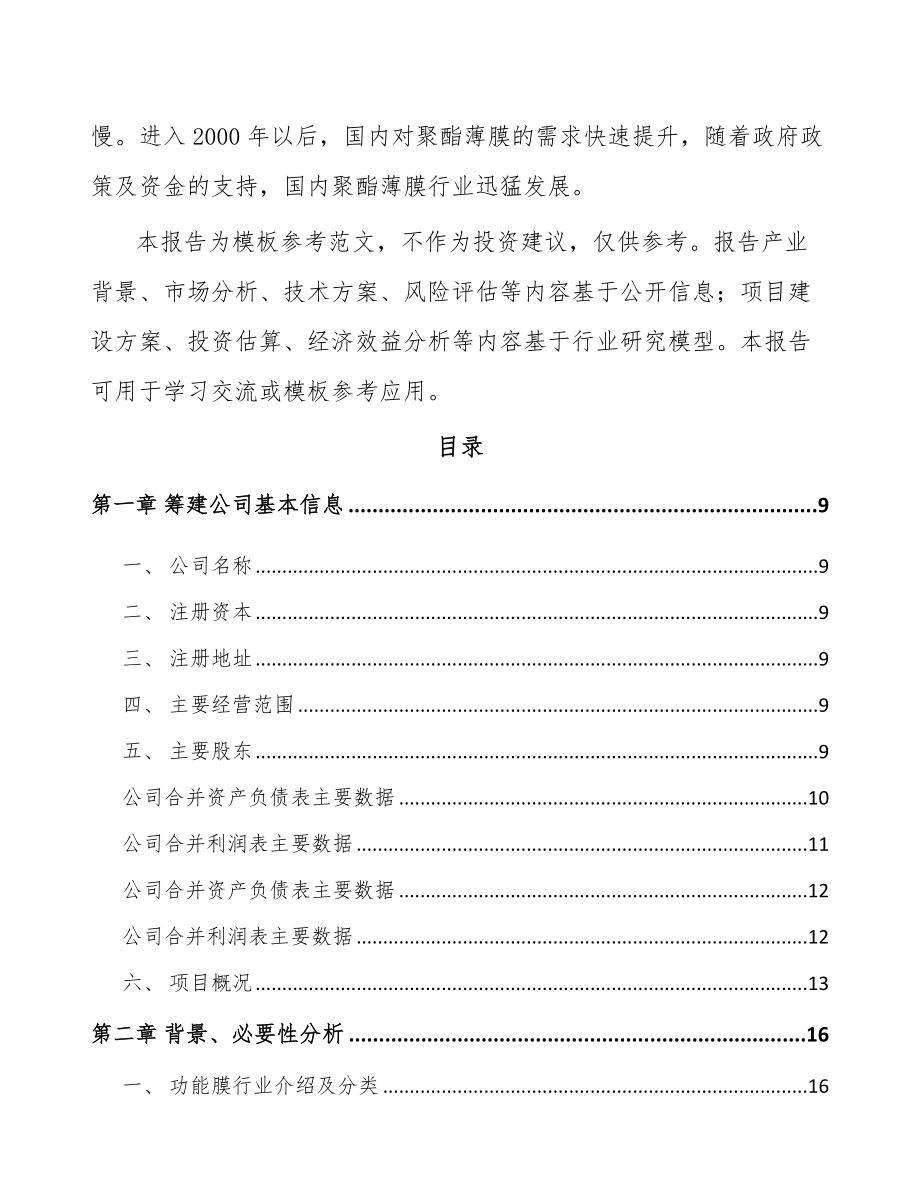 湖南关于成立功能膜公司可行性研究报告_第3页