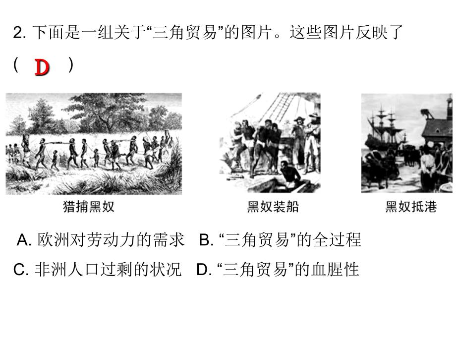 人教版九年级历史上册课堂十分钟课件第16课早期殖民掠夺共10张PPT_第3页