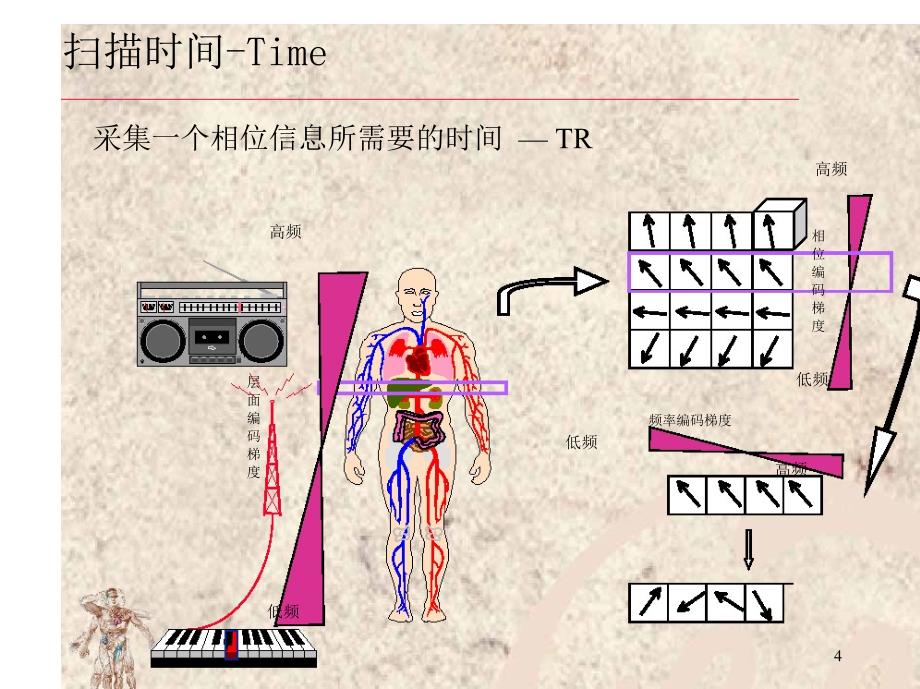 磁共振图像高质量全参数_第4页