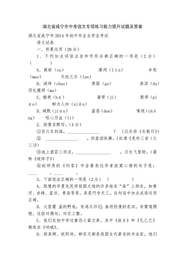 湖北省咸宁市中考语文专项练习能力提升试题及答案_6