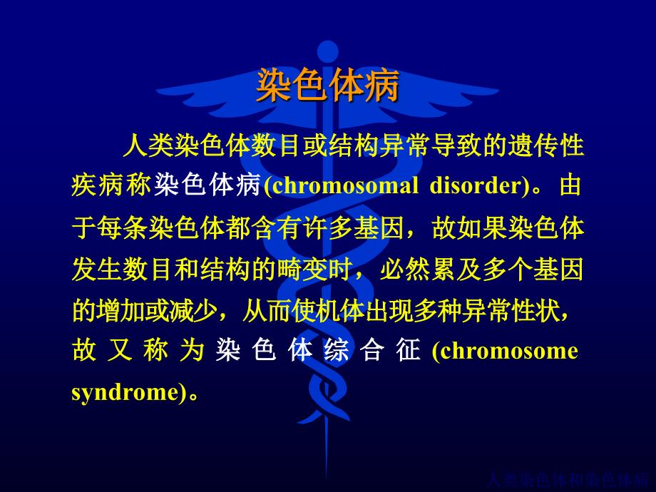 医学遗传学：第十四章 染色体病_第2页