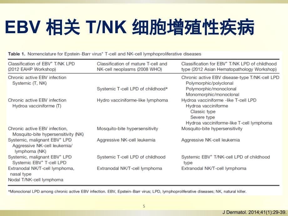 NKT细胞淋巴瘤周剑峰ppt课件_第5页