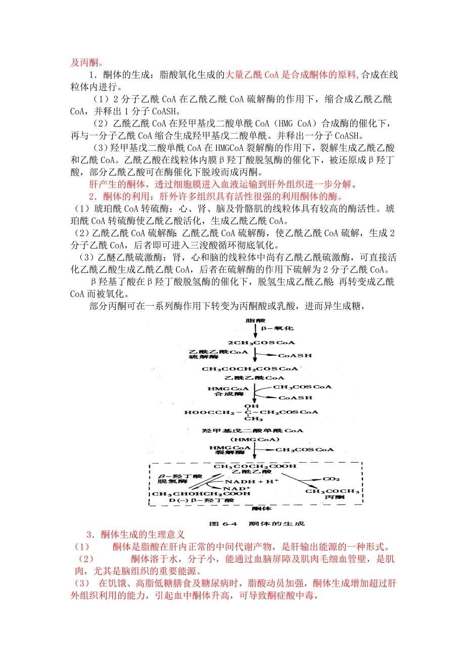 第五章脂类代谢复习提要.doc_第5页