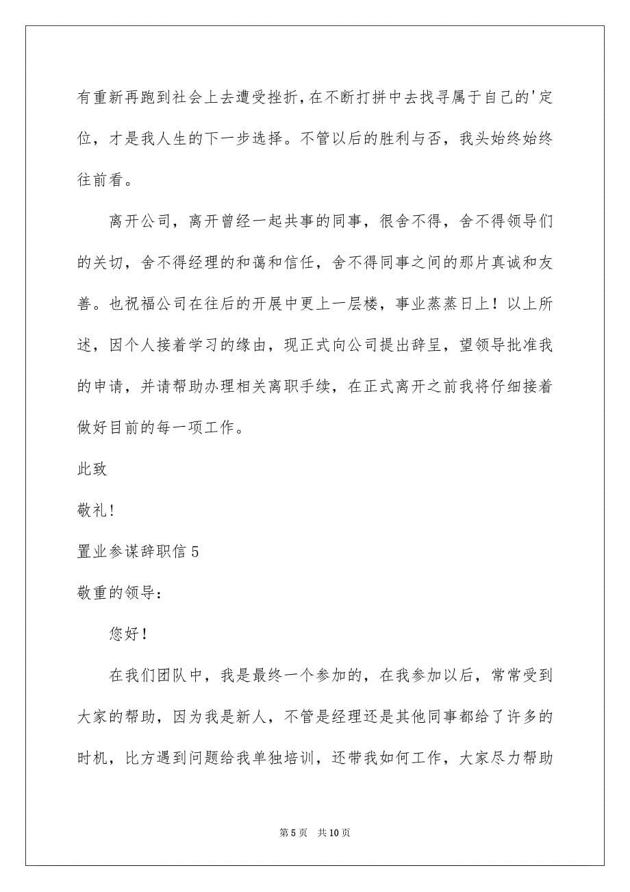 2023年置业顾问辞职信9范文.docx_第5页