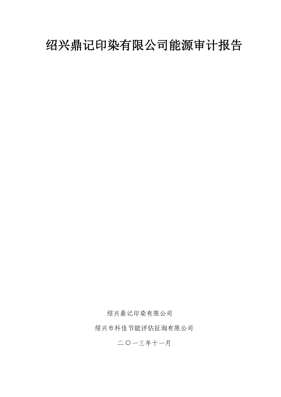 绍兴鼎记印染有限公司能源审计报告_第1页