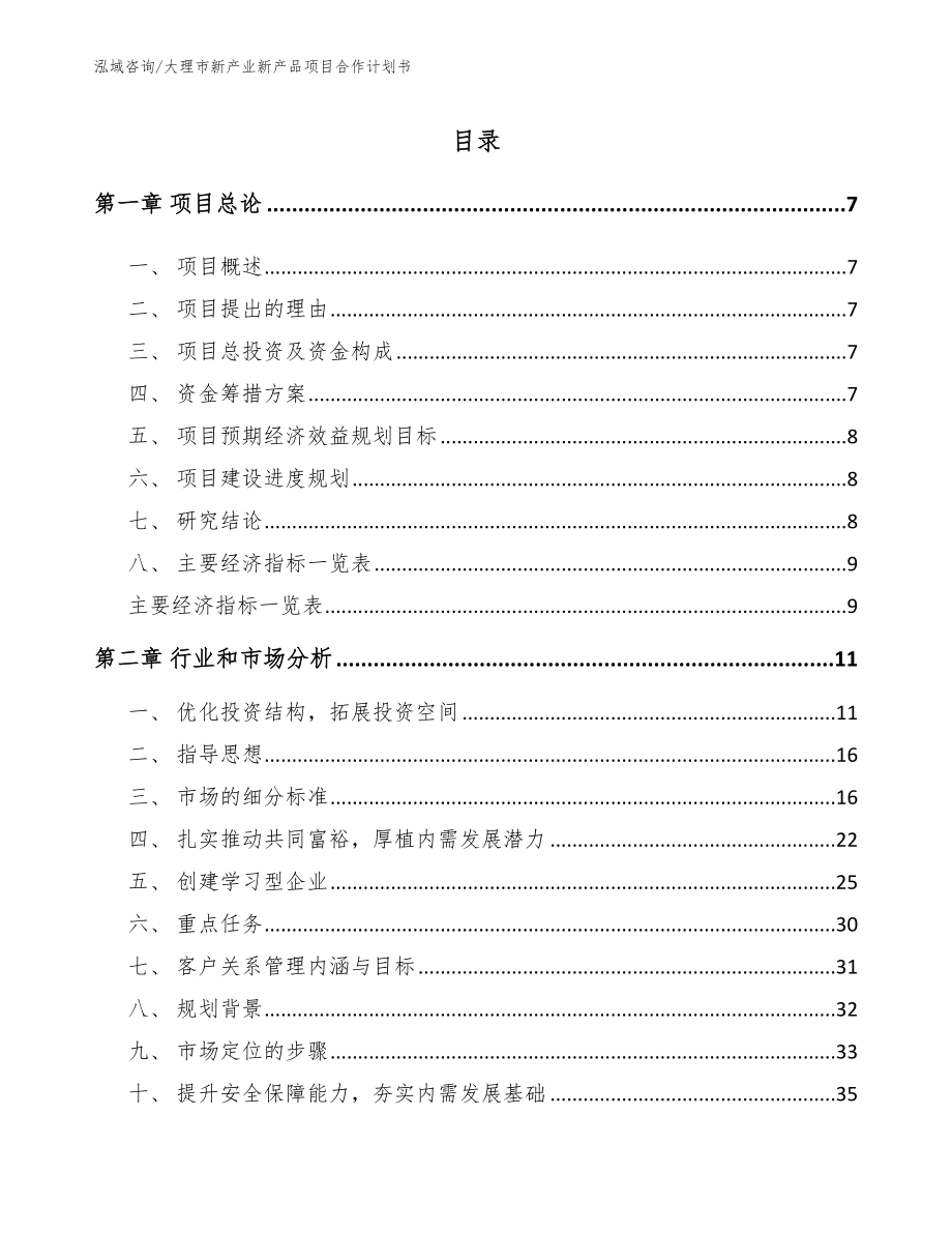 大理市新产业新产品项目合作计划书_第2页