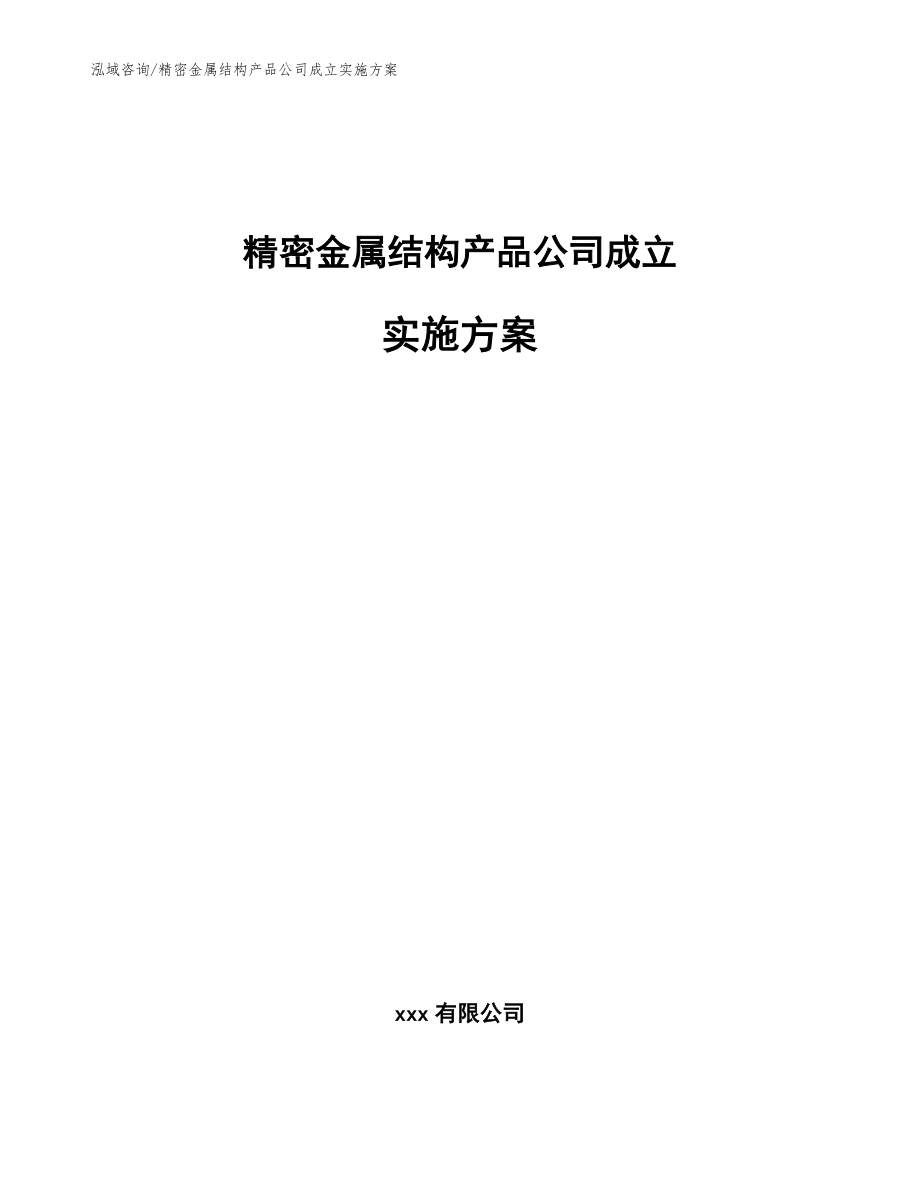 精密金属结构产品公司成立实施方案范文_第1页