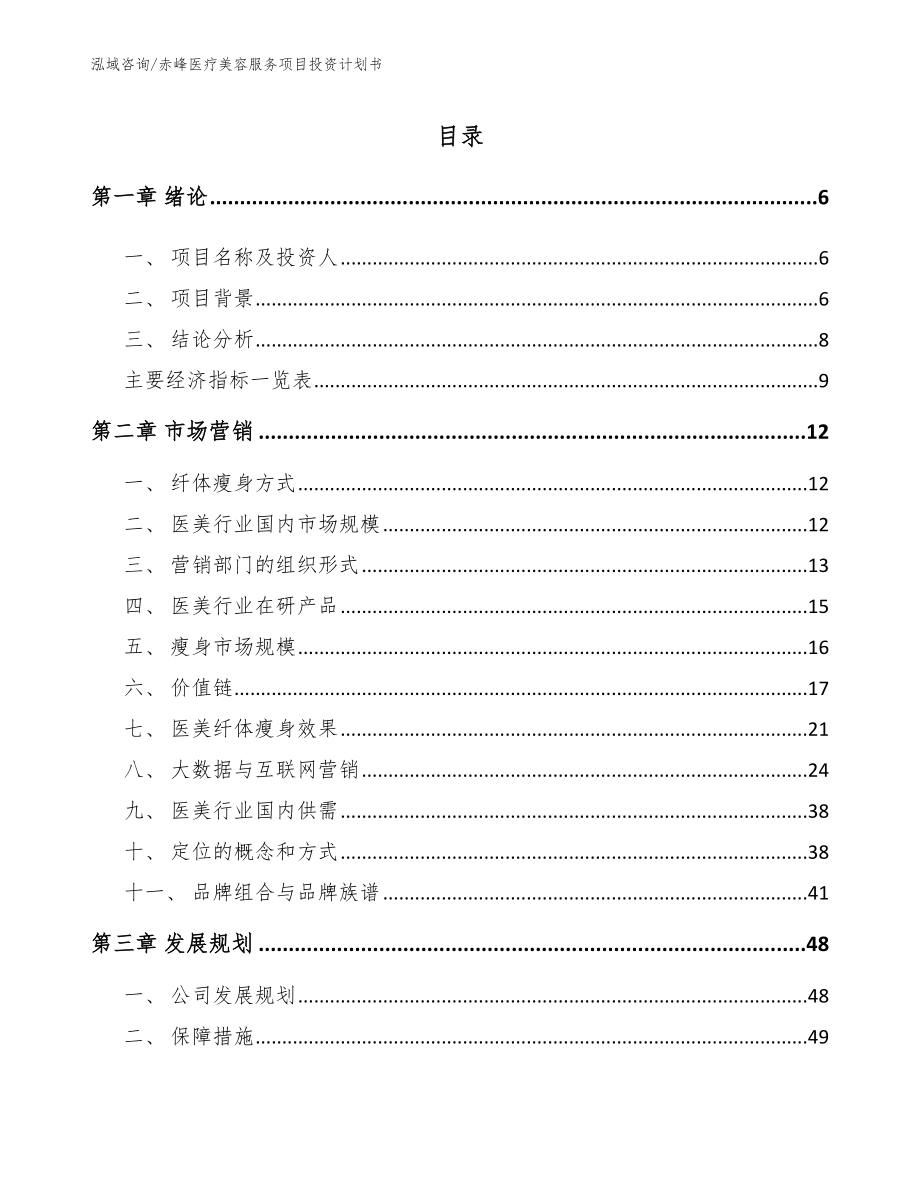 赤峰医疗美容服务项目投资计划书_第2页