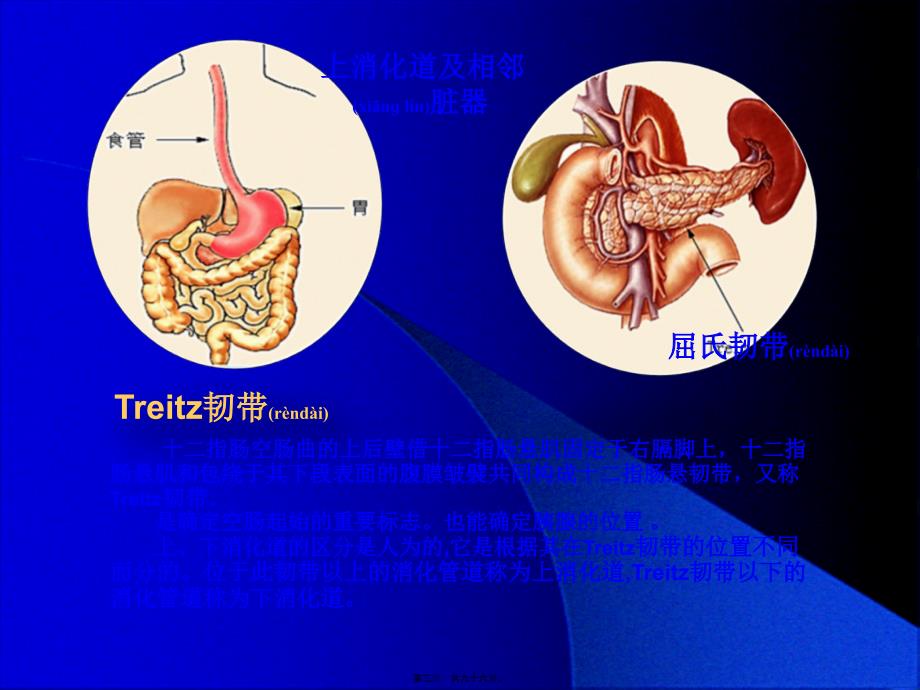 医学专题—上消化道出血诊治进展000000.ppt-[自动保存的]23290_第3页