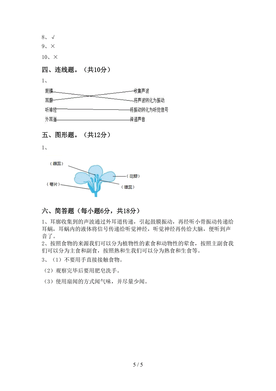 最新教科版四年级科学上册期末考试题(完整版).doc_第5页