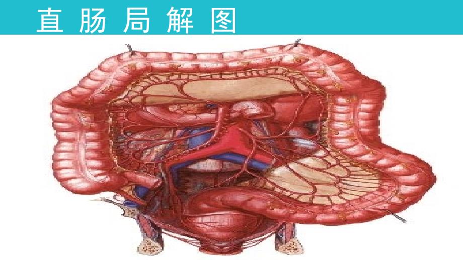 直肠癌麦氏术后护理 (2)_第3页