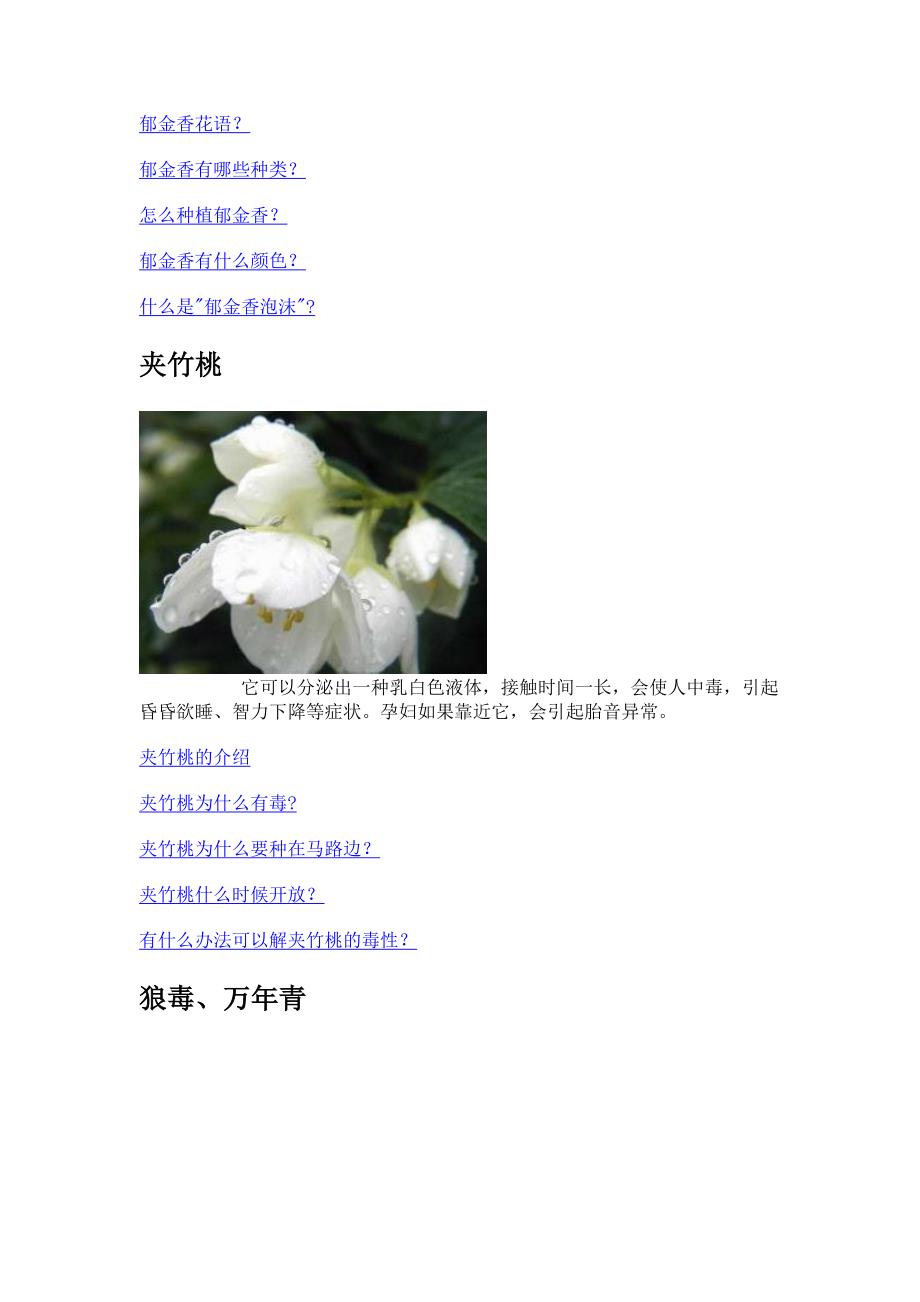 卧室内绝不能摆放的11种花.doc_第3页