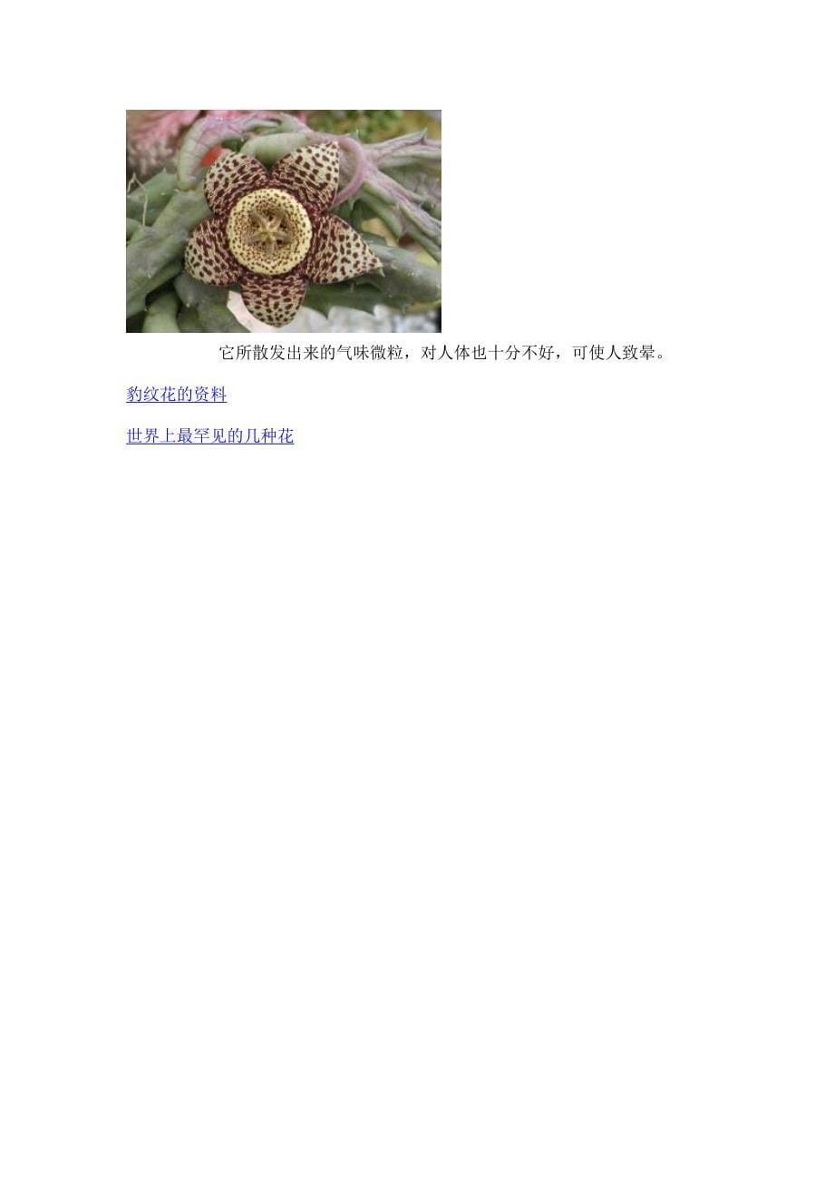 卧室内绝不能摆放的11种花.doc_第5页