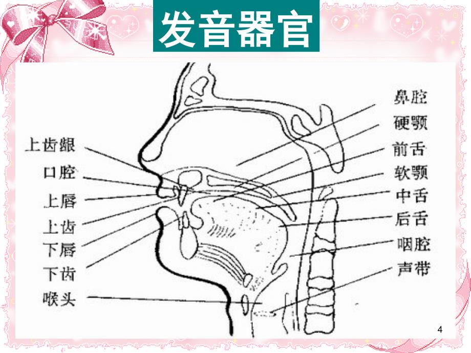 英语音标读音学习课堂PPT_第4页